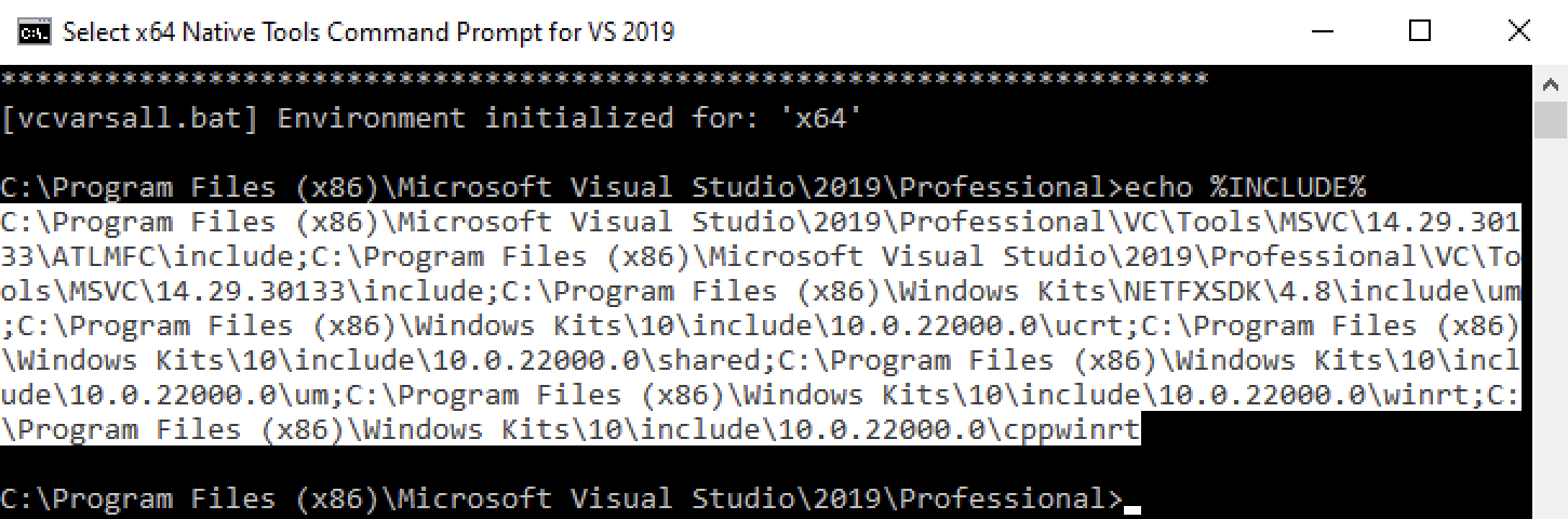 vs prompt